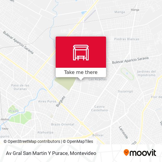Av Gral San Martin Y Purace map