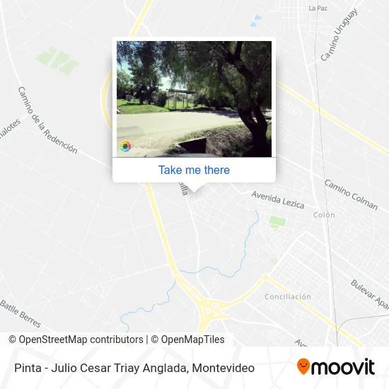 Pinta - Julio Cesar Triay Anglada map