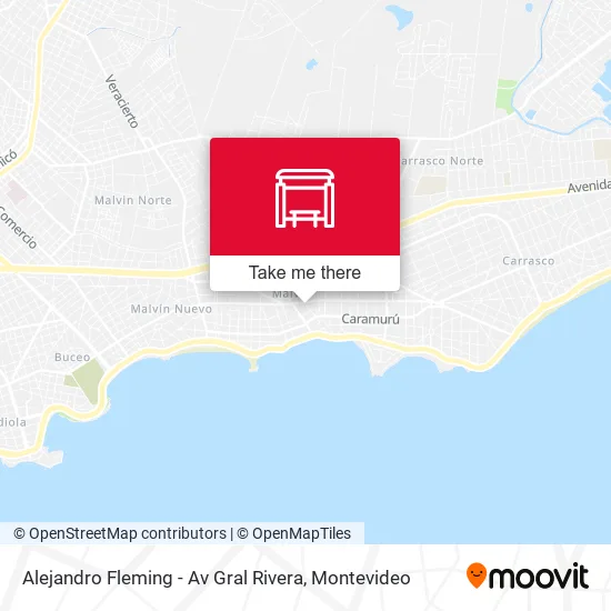 Mapa de Alejandro Fleming - Av Gral Rivera