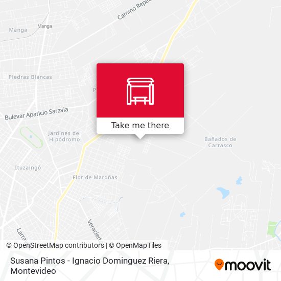 Mapa de Susana Pintos - Ignacio Dominguez Riera
