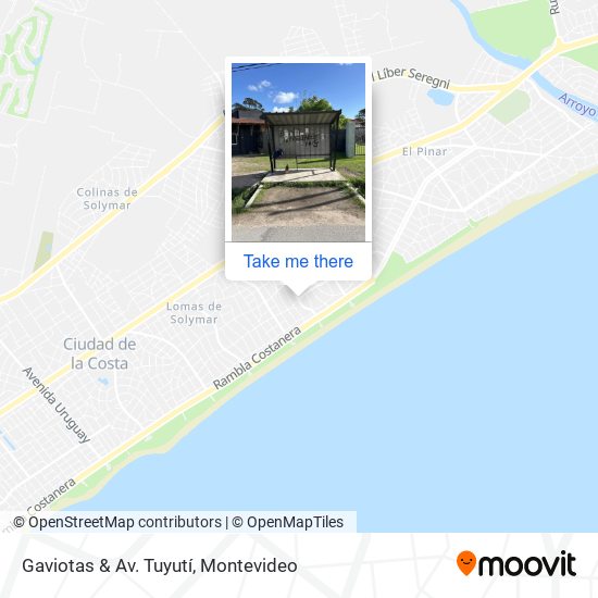 Mapa de Gaviotas & Av. Tuyutí