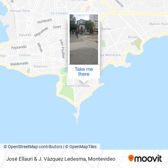 José Ellauri & J. Vázquez Ledesma map