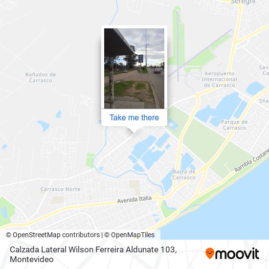 Calzada Lateral Wilson Ferreira Aldunate 103 map