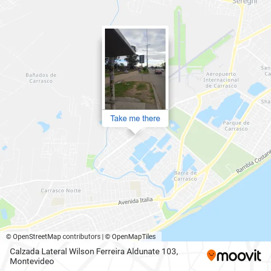 Calzada Lateral Wilson Ferreira Aldunate 103 map