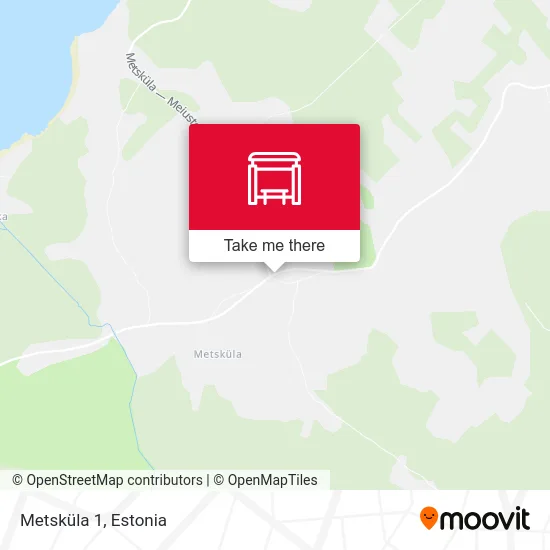 Карта Metsküla 1