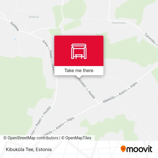 Карта Kibuküla Tee