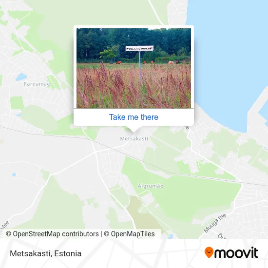 Карта Metsakasti