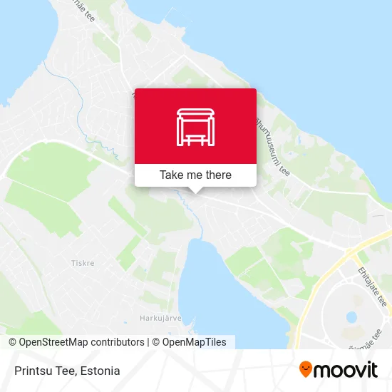 Карта Printsu Tee