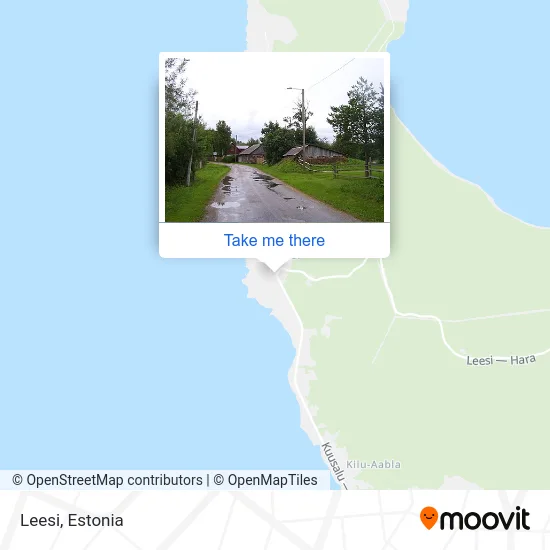 Карта Leesi