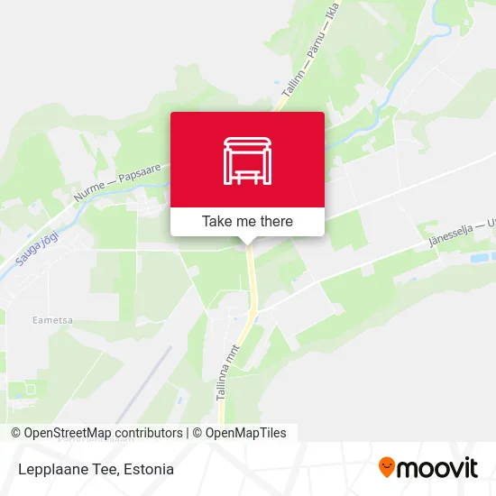 Карта Lepplaane Tee