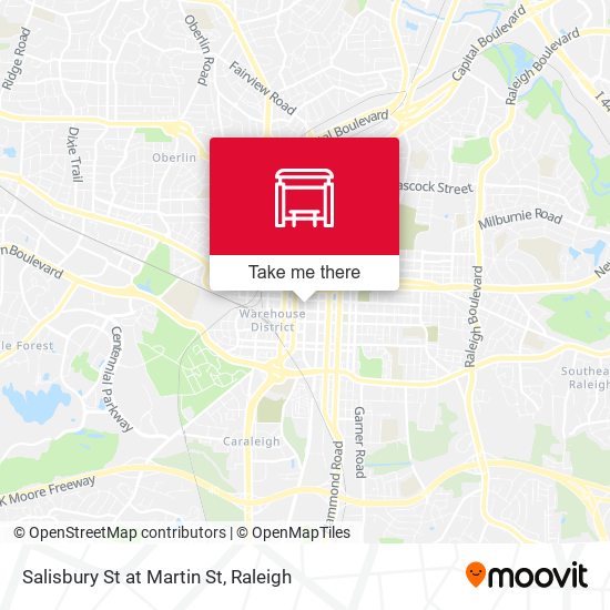 Salisbury St at Martin St map