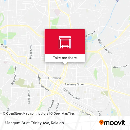 Mangum St at Trinity Ave map