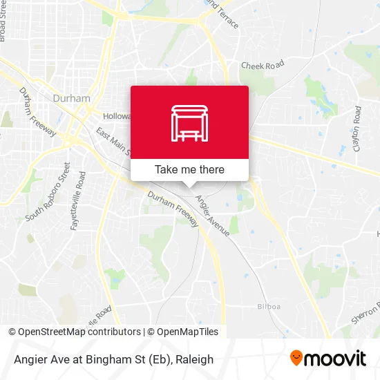 Mapa de Angier Ave at Bingham St (Eb)