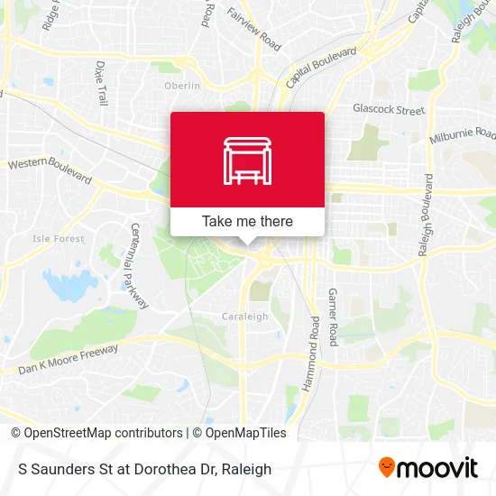 S Saunders St at Dorothea Dr map