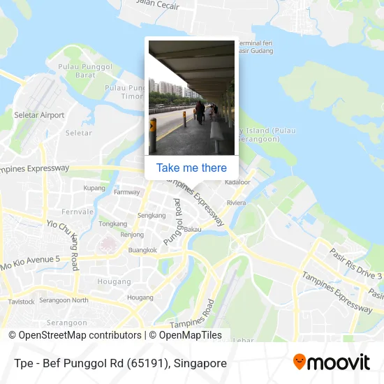 Tpe -  Bef Punggol Rd (65191)地图