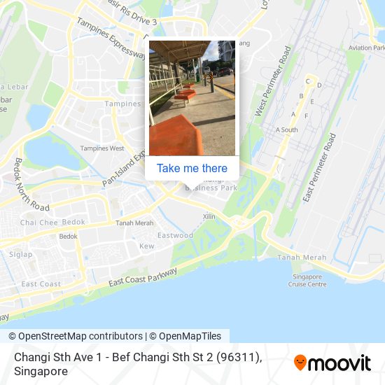 Changi Sth Ave 1 - Bef Changi Sth St 2 (96311) map
