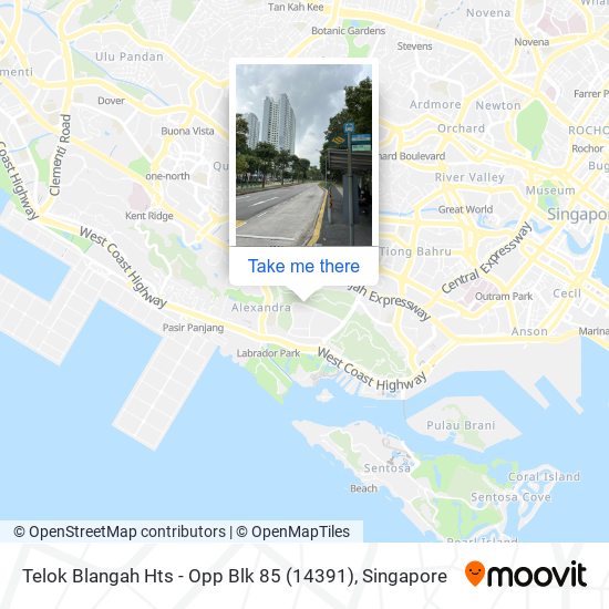 Telok Blangah Hts - Opp Blk 85 (14391)地图