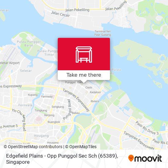 Edgefield Plains - Opp Punggol Sec Sch (65389)地图