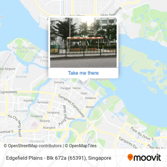 Edgefield Plains - Blk 672a (65391)地图