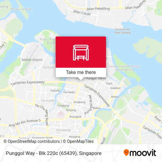 Punggol Way - Blk 220c (65439)地图