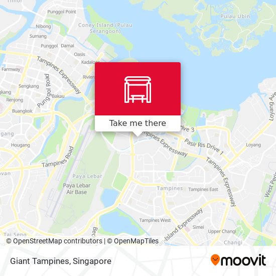 Giant Tampines map