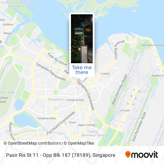 Pasir Ris St 11 - Opp Blk 187 (78189)地图