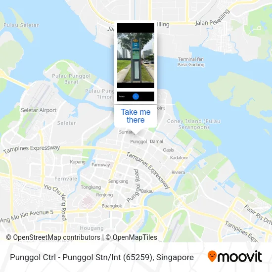 Punggol Ctrl - Punggol Stn / Int (65259)地图