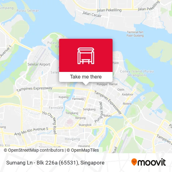 Sumang Ln - Blk 226a (65531) map