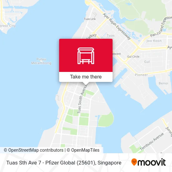 Tuas Sth Ave 7 - Pfizer Global (25601)地图