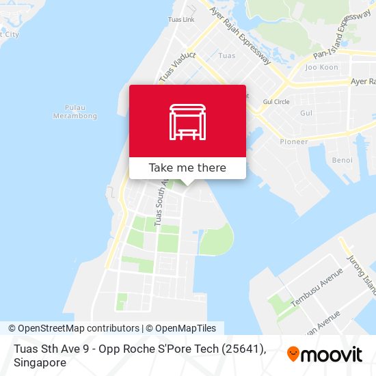 Tuas Sth Ave 9 - Opp Roche S'Pore Tech (25641) map