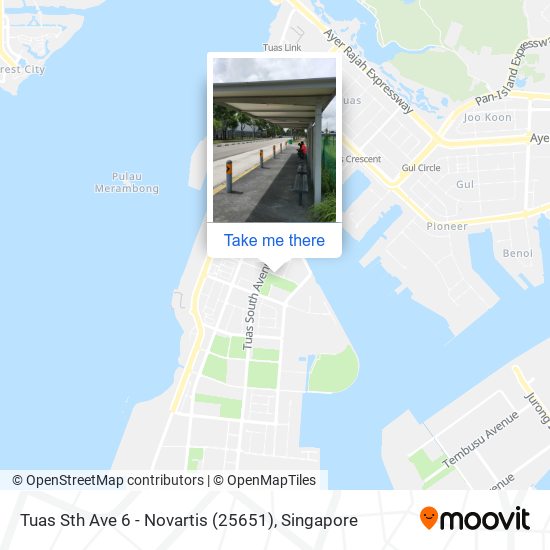 Tuas Sth Ave 6 - Novartis (25651) map
