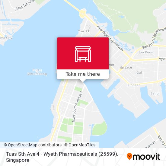 Tuas Sth Ave 4 - Wyeth Pharmaceuticals (25599) map