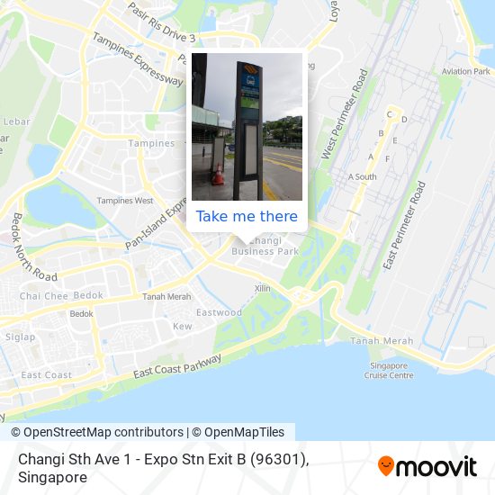 Changi Sth Ave 1 - Expo Stn Exit B (96301)地图