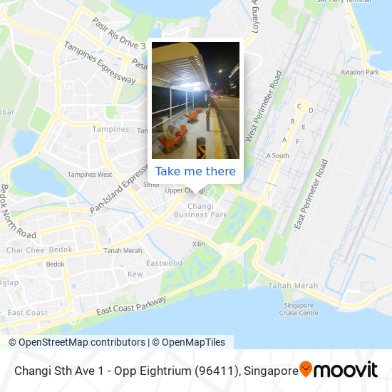Changi Sth Ave 1 - Opp Eightrium (96411) map
