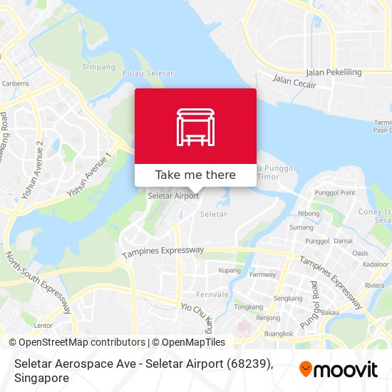 Seletar Aerospace Ave - Seletar Airport (68239) map