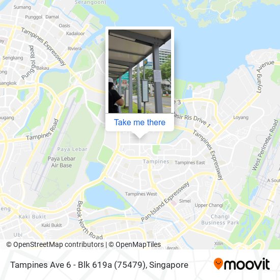 Tampines Ave 6 - Blk 619a (75479)地图