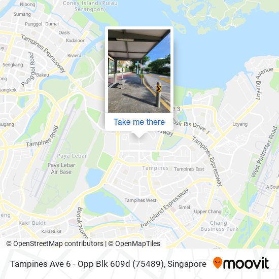 Tampines Ave 6 - Opp Blk 609d (75489)地图