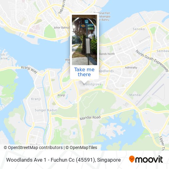 Woodlands Ave 1 - Fuchun Cc (45591) map
