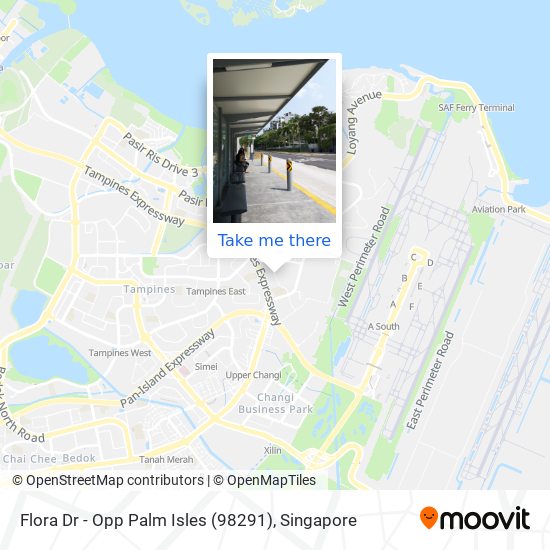 Flora Dr - Opp Palm Isles (98291) map
