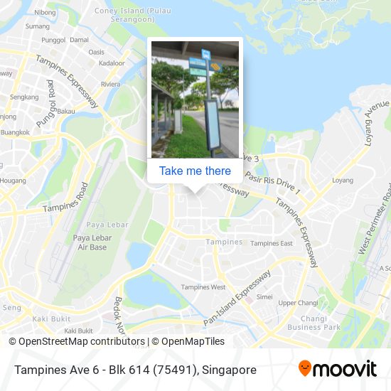 Tampines Ave 6 - Blk 614 (75491) map
