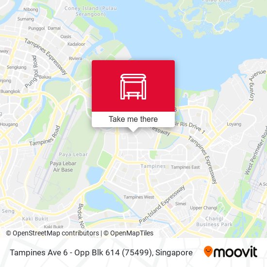 Tampines Ave 6 - Opp Blk 614 (75499)地图