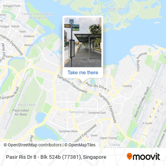 Pasir Ris Dr 8 - Blk 524b (77381) map