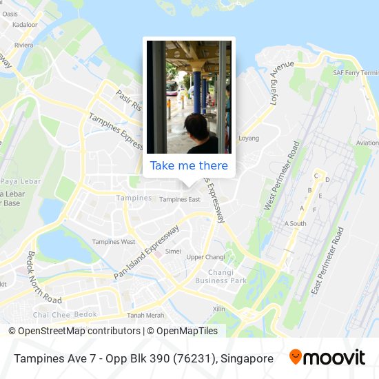 Tampines Ave 7 - Opp Blk 390 (76231) map