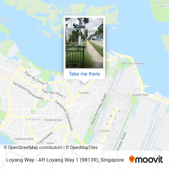 Loyang Way - Aft Loyang Way 1 (98139)地图