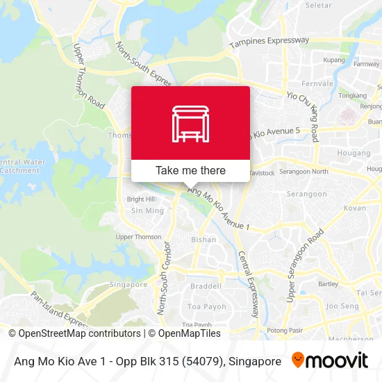 Ang Mo Kio Ave 1 - Opp Blk 315 (54079)地图