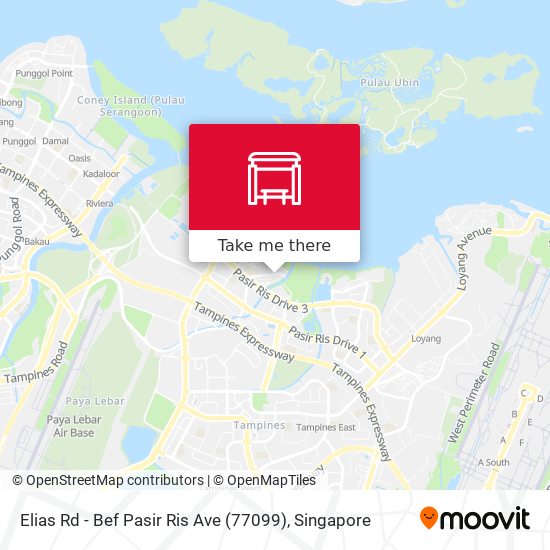 Elias Rd - Bef Pasir Ris Ave (77099) map