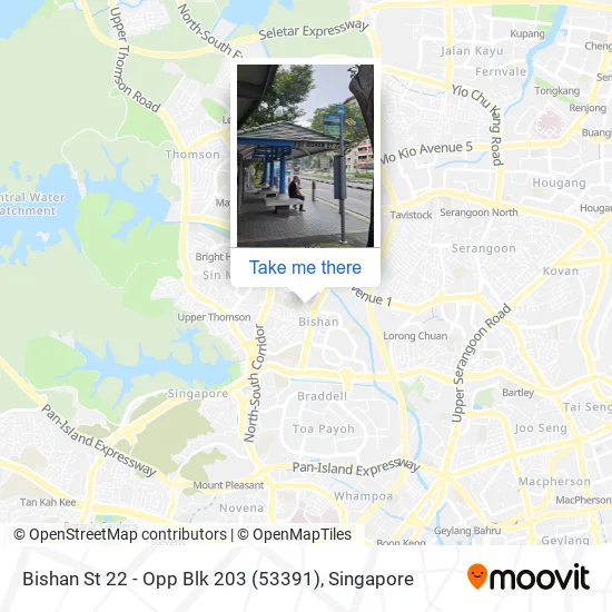 Bishan St 22 - Opp Blk 203 (53391)地图