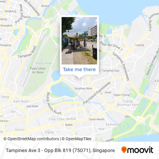 Tampines Ave 3 - Opp Blk 819 (75071) map