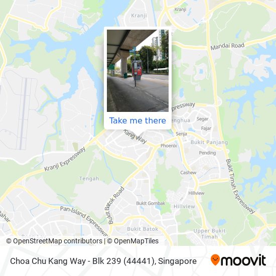 Choa Chu Kang Way - Blk 239 (44441) map