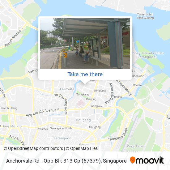 Anchorvale Rd - Opp Blk 313 Cp (67379)地图